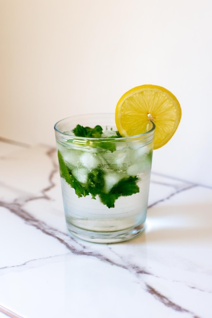 Glass of cold water with fresh mint leaves and ice cubes