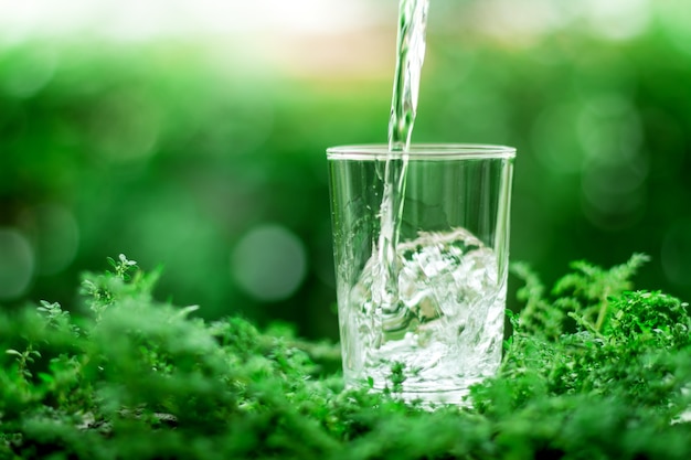 a glass of cool fresh water on natural green background