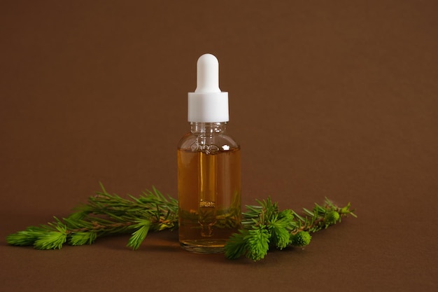 glass dropper bottle with cosmetic serum or oil and a sprig of spruce with fresh shoots young shoot