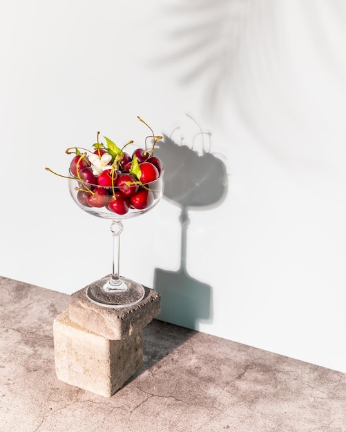 A glass filled with cherries on the cement podium and shade of palm tree on a blue background