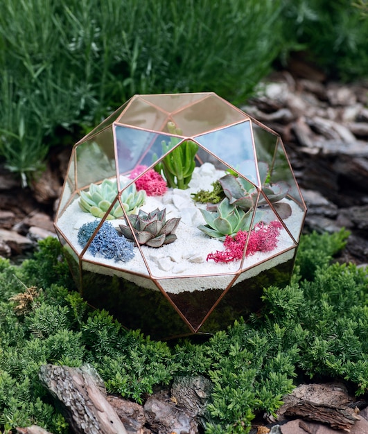 Glass florarium with succulent plants inside in the garden