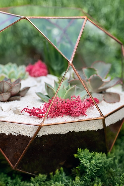 Glass florarium with succulent plants inside in the garden