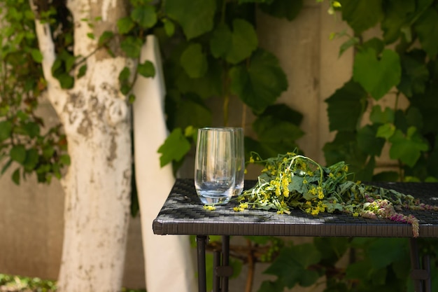 glass glasses on the table on the background of leaves