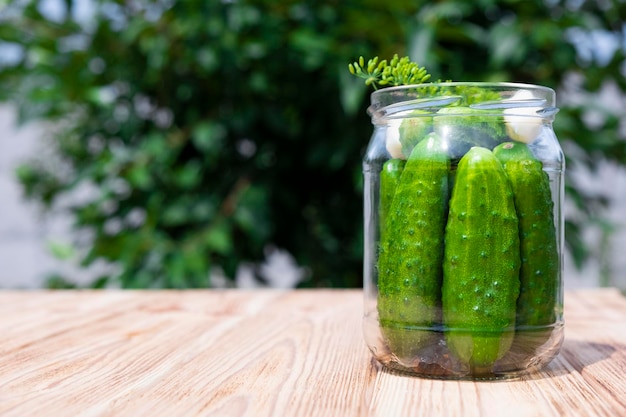 Glass jar with fresh cucumbers herbs garlic and dill on wooden board in yard Recipe of crunchy gherkins with salt for home conservation Natural probiotics fermented veggies