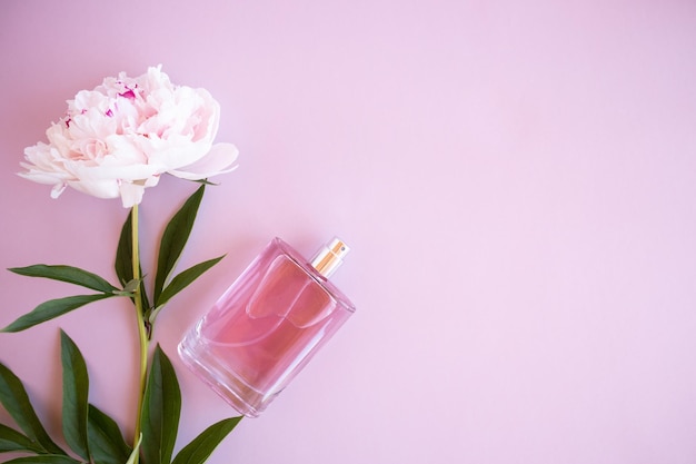 A glass perfume bottle on a pink background with a beautiful peony flower aroma presentation unnamed bottle for presentation space for text