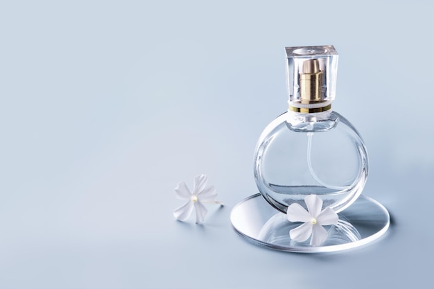 Glass perfume bottle white flowers and round slides on blue background Winter or spring floral fragrance