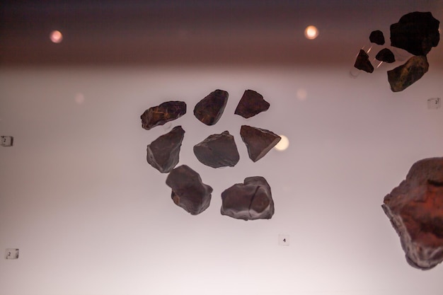 A glass plate with a paw print in it