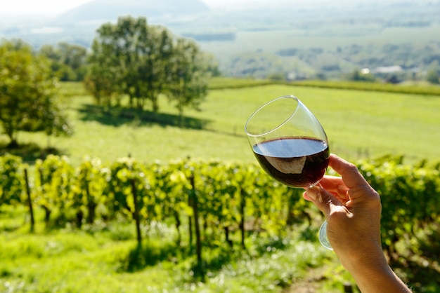 Glass of red wine exposed towards the sun