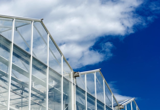 Glass Roof of a greenhouse against the bright sky and white clouds