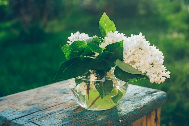 Glass vase with bouguet of white lilac on nature background