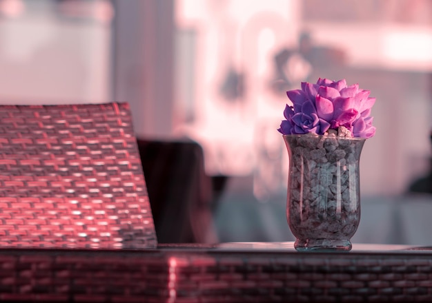 Glass vase with bouquet of beautiful purple flowers on the desk