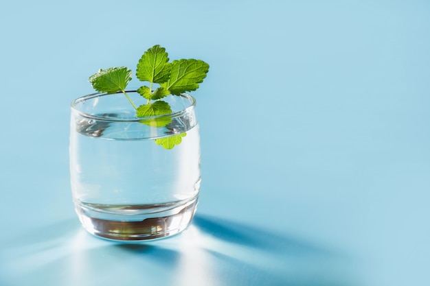 Glass of water with mint on pastel blue. One shot. Close up. Copy space. Water balance for healthy.