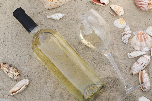 glass of white wine on sand as background with shells