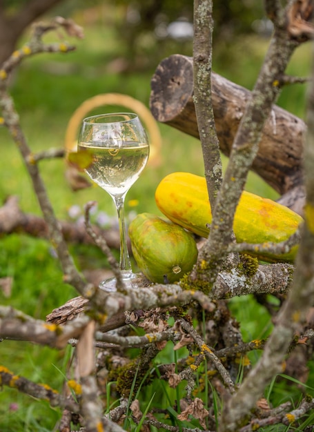 A glass of wine on the background of nature