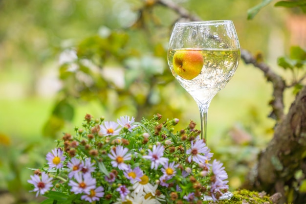 A glass of wine on the background of nature