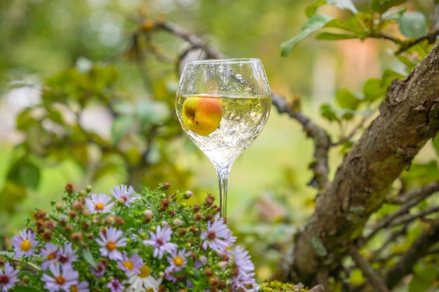 A glass of wine on the background of nature