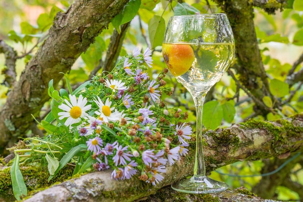 A glass of wine on the background of nature