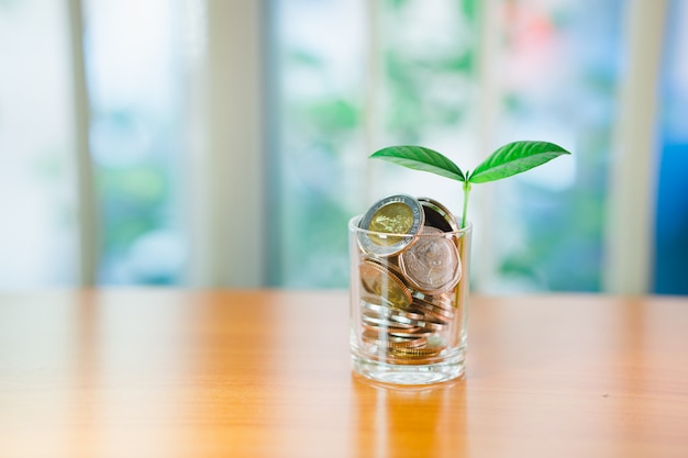 Glass with coins and sprout