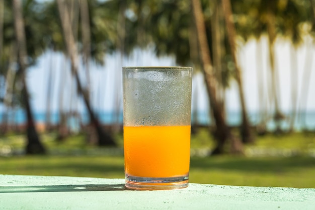 Glass with Freshly Pressed Tropical Fruits Juice