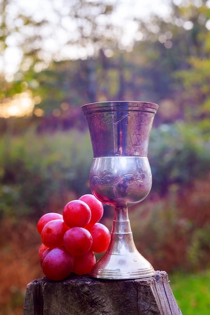 Glasses of sparkling red wine on a white background wine grapes glass of Jewish holidays