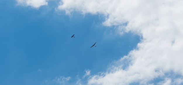 Glider planes flying in the sky