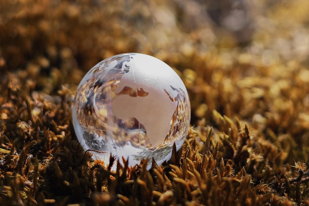 Globe glass on grass with sunshine environment concept