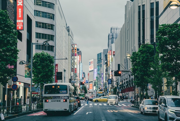 Gloomy day in the city with traffic