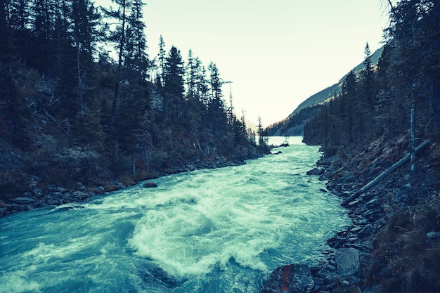 Gloomy mountain landscape with river on opposite bank Stony bank of river Dark green color of water Eerie atmosphere in overcast rainy weather in cinematic faded tones Horror style