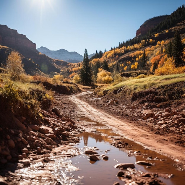 Glorious Goldrush Autumn Landscape Photo