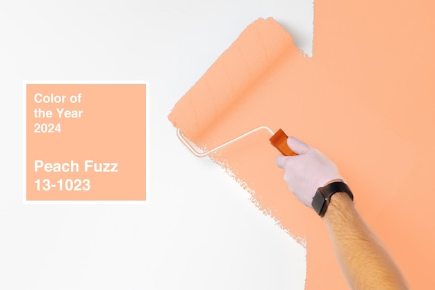 Gloved male hand painting wall into peach fuzz color of the year