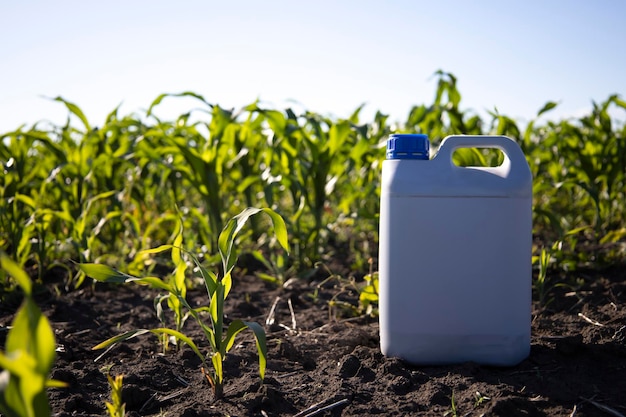 A gloved worker holds a canister against a background of corn. Treatment with corn fertilizers.