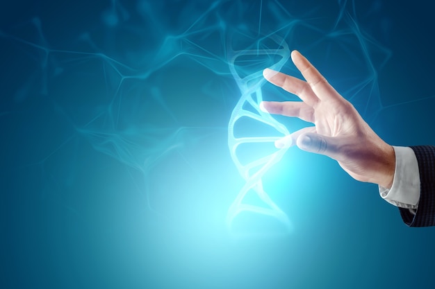 Glowing hologram of DNA molecule in the hand of a businessman on a blue background. Medical technology concept, science, biotechnology. Copy space.