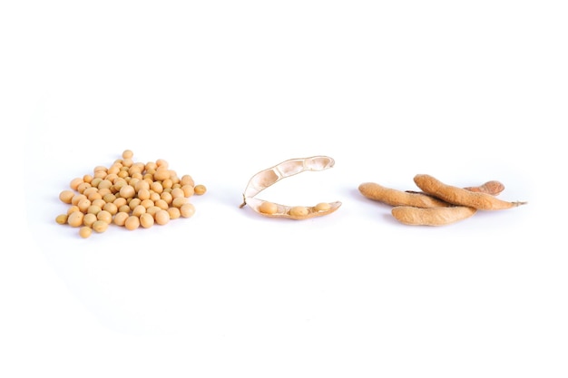 Glycine max. Soybeans, grains, pods isolated on a white background. Plant close-up.