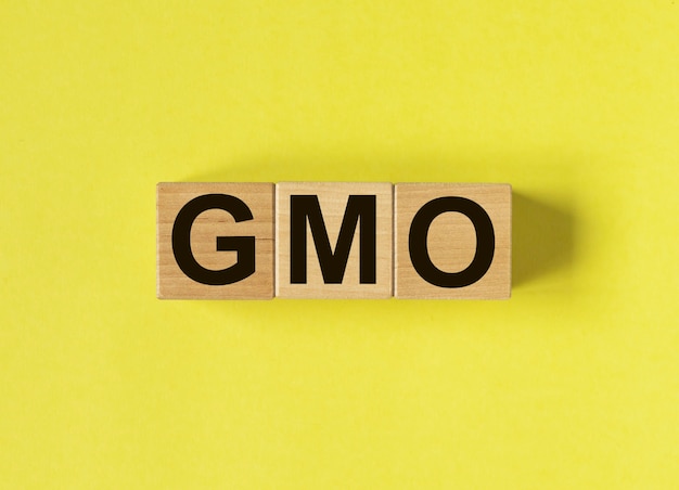 Gmo word on wooden dices on yellow background