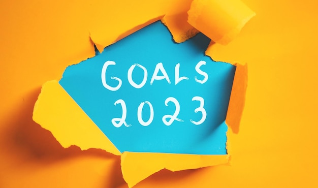 Goals 2023 on page