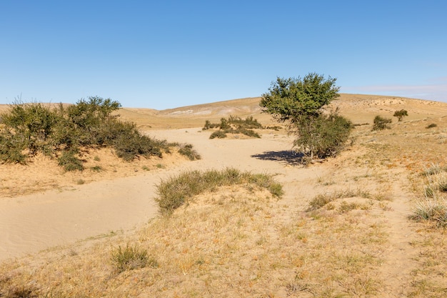 Gobi desert mongolia