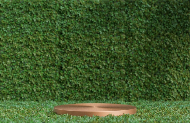 Gold circle podium for product presentation on green leaves wall background natural style.,3d model and illustration.