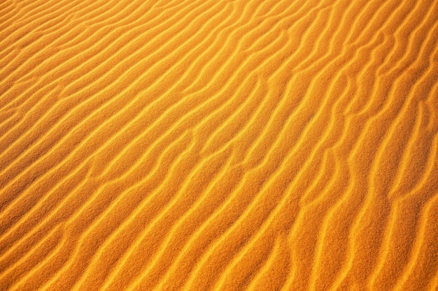 Gold desert into the sunset Sand texture