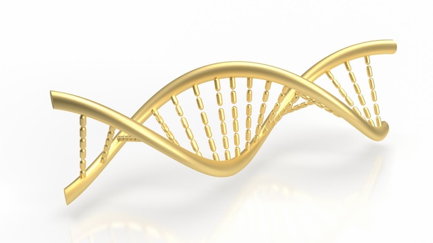 The gold dna on white background for sci or education concept 3d rendering