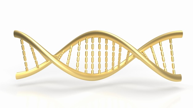 The gold dna on white background for sci or education concept 3d rendering