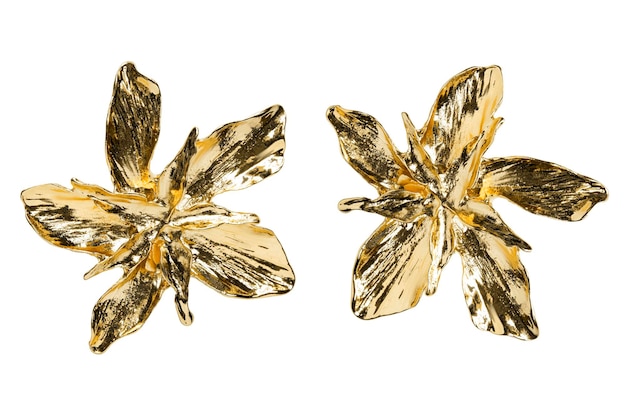 Gold earrings isolated