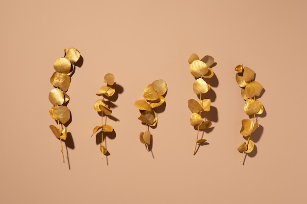 Gold Eucalyptus leaves on beige background. Flat lay, top view.