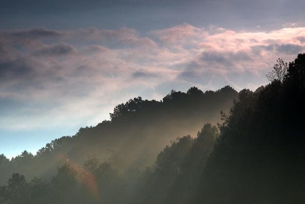 Gold light ray and foggy valley in a morning