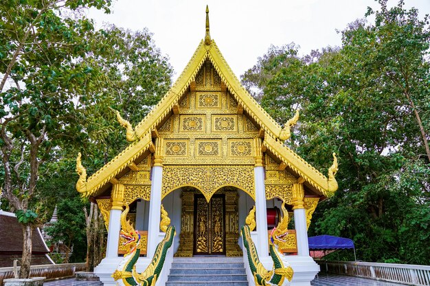 Gold temple cover the building with the tree background.