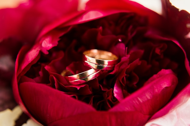 Gold wedding rings, close up.