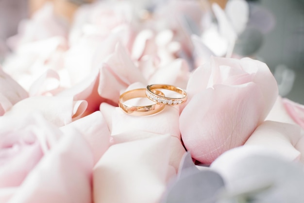 Gold wedding rings lie on delicate pink roses closeup