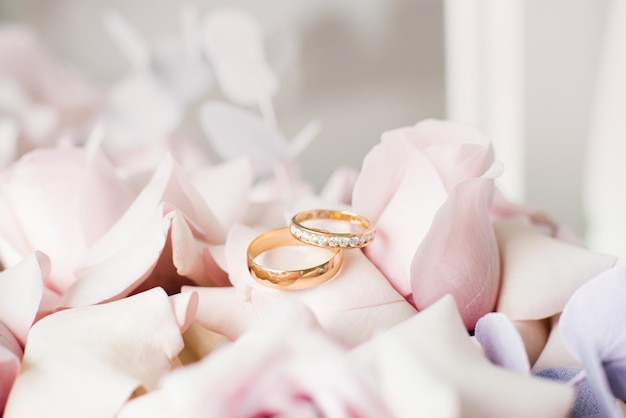 Gold wedding rings lie on delicate pink roses closeup