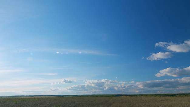 Photo gold wheat field and soft lighting effects rural scenery under shining sunlight wide shot