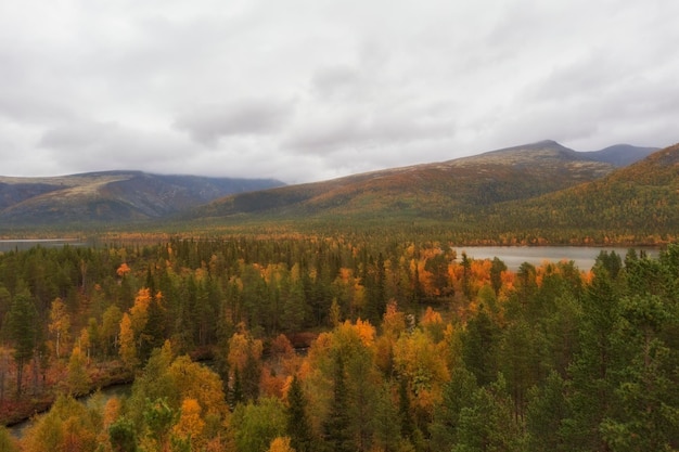 Golden autumn in the Arctic mountains beyond the Arctic Circle view from above of a beautiful lake and yellow birch trees