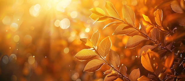 Golden Autumn Leaves in the Sunlight